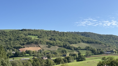 Terrain constructible - de 3772 m²