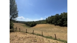 Ensemble immobilier de caractère - 10 minutes de Figeac